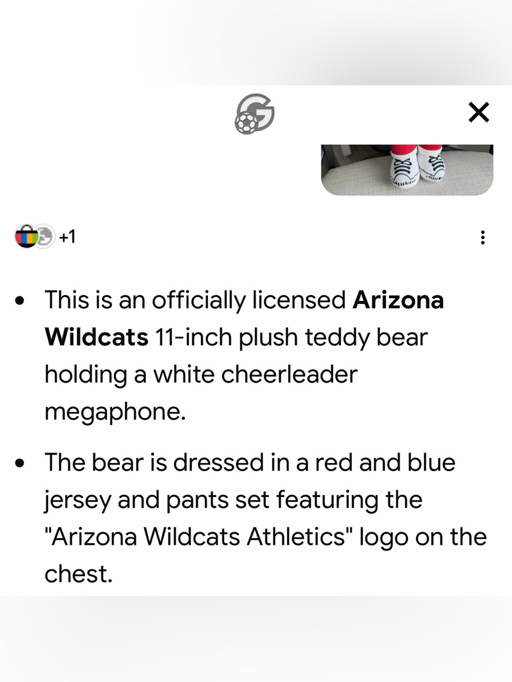 Arizona Wildcats Red Plush Cheer Bear - Kids Toy - Picture 9 of 9